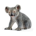 Wildlife Koala Bear