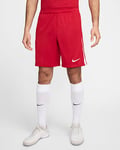 Poland 2024/25 Stadium Home/Away Men's Nike Dri-FIT Football Replica Shorts