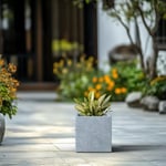 Kante Élégant Pot de Fleurs carré en béton Fait à la Main pour intérieur et extérieur, Gris Clair, 25,4 x 25,4 x 25,4 cm