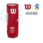 Wilson Padel X3 Låda - 24 st rör