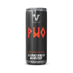 Viking Power 24 x PWO Dyck - 330 ml Energy Drink Flavor Citrullinmalat, Beta-alanin, Koffein, Energidryck
