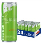 Red Bull Summer Edition Curuba -energiajuoma, 250 ml, 24-pack