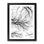 Tree Branches In Central Park New York Painting Modern Framed Wall Art Print, Ready to Hang Picture for Living Room Bedroom Home Office Décor, Black A4 (34 x 25 cm)