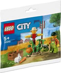 Lego 30590 City Farm Garden & Scarecrow Sealed Polybag