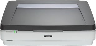 Epson EXPRESSION 12000XL PRO Flatbed scanner 2400 x 4800 DPI A3 Grey, White
