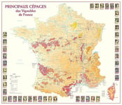 Map of Main Varieties of Grapes in the French Vineyards