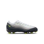 Nike Air Zoom Mercurial Vapor 16 X Air Max 95 Pro Fg - Svart/neongul/antracit/light Graphite Barn Limited Edition - Gräs (Fg), storlek 36½