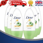 Dove Roll On Deodorant Cucumber and Green Tea 50ml-PACK-6