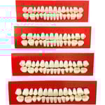 4 stycken Akrylharts Falska Tänder Tandprotes Falska Tänder Halloween Horror Tänder Halloween Makeup Cosplay Kostymfest Ornament Tillbehör (4 st)