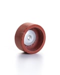 Carrot Stone Red 120