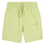 Levis Levi's® Kids Boys Joggingkläder shorts Nile Green