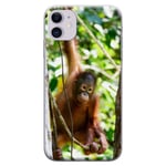 Azzumo Hanging Baby Orangutan Soft Flexible Ultra Thin Case Cover For the Apple iPhone 11 (2019 6.1 inch)