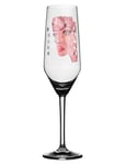 Champagneglass Moonlight Queen Pink Home Tableware Glass Champagne Glass Nude Carolina Gynning
