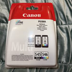 Canon PG-545 & CL-546 Ink Cartridge Combo Pack