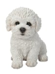 Vivid Arts Pet Pals Bichon Frise Puppy (Size F)