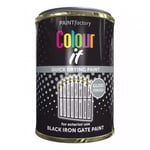 Black Iron Gate Gloss Paint 300ml Quick Drying Paint Factory