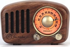 FM radio with BT Feegar Retro Wooden speaker