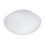 Wall Flush Ceiling Light Colour White Shade White Glass Opal Matt Bulb E27 1x60W