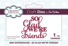 Sue Wilson Mini Expressions-So Glad We're Friends-Craft Die, Metal, 4 x 4.6 cm