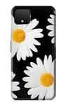 Innovedesire Daisy flower Case Cover For Google Pixel 4 XL