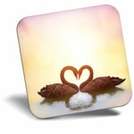 Awesome Fridge Magnet - Swan Couple Love Bird Heart Cool Gift #14632