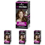 Schwarzkopf - Kit Racines - Coloration Racines Cheveux Permanente - Enrichie d’une huile nourrissante - Couverture Cheveux Blancs - Retouche entre 2 Colorations - Châtain Doré R2, 1 Unité (Lot de 4)