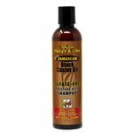 Jamaican Mango & Lime | Black Castor Oil Shampoo (8oz)