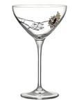 All About You For Coupe Champagneglas 32Cl 2-Pack *Villkorat Erbjudande Home Tableware Glass Champagne Nude Kosta Boda