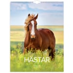 Väggkalender Burde 1776 Hästar 2025