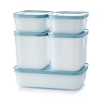 Tupperware Essentials Freezer Mates 5 Piece Starter Set - Storage Container - Save Time & Energy - Fast Freezing, Frost-free & Airtight - Keep Organised - Great for Batch Cooking