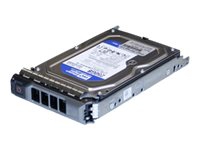 Origin Storage - Hårddisk - 2 TB - hot-swap - SATA 1.5Gb/s - 7200 rpm - för Dell PowerEdge R410, R510 (3,5), R710 (3,5), T410 (3,5), T610 (3,5), T710 (3,5)