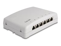 Delock - Patch-Panel - Väggmontering, Kan Monteras Under Bord - Cat 6A - Rj-45 X 6, Lsa X 6 - Grå