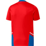 Adidas Fc Bayern Munich 22/23 Short Sleeve T-shirt Travel Red M