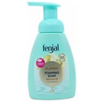 3 x Fenjal Classic Foaming Soap 250ml