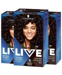 Schwarzkopf Womens 3x LIVE Tempting Chocolate Brown Permanent Hair Dye, Intense Colour 880 - One Size