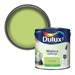 Dulux Walls & Ceilings Silk Emulsion Paint, Kiwi Crush, 2.5 Litres