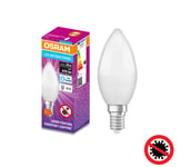 LED Antibakteerinen polttimo B40 E14/4,9W/230V 6500K - Osram